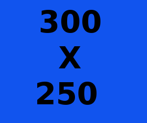 300x250