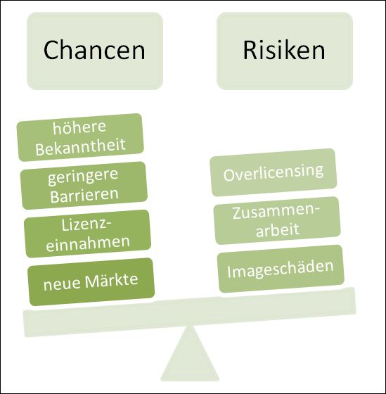 Chancen Risiken Markeninhaber