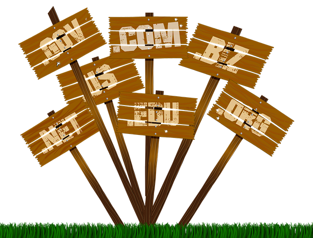 Domain-Endungen (TLDs) auf Holzschildern, hier: Domainbewertung