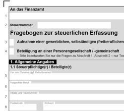 formular-steuerlicher-erfassungsbogen