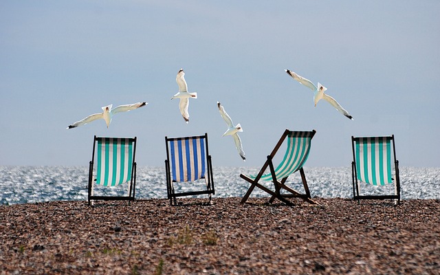 Sommer Strand Möwen Liegestühle Meer Urlaub Küste