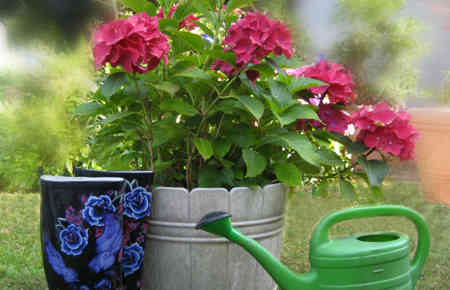 Blumentopf und Gartenwerkzeuge