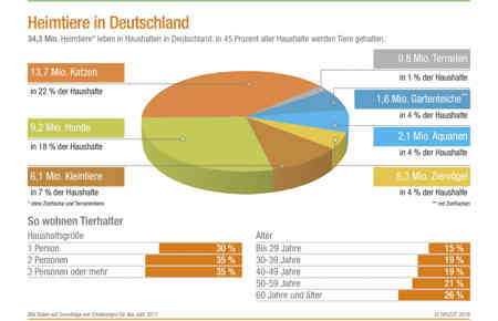 IVH ZZF Infografik Heimtiere in Deutschland 2017